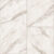21041 Carrara Alabaster