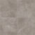 21112 Hutchison Grey