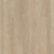 01169-Sand Dune